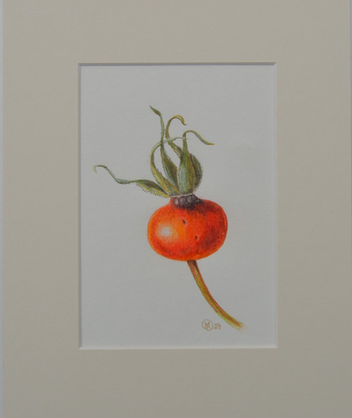 Originál - šípek, v paspartě 25x20cm