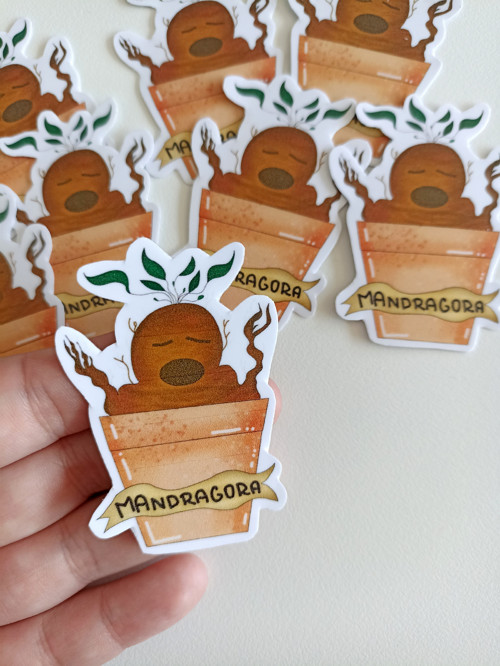 Mandragora - samolepka — foto 1