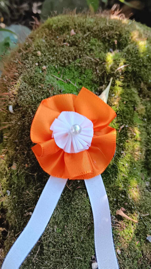 Kotiliony na klopu oranžová