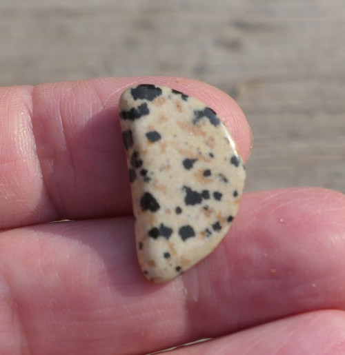 Jaspis dalmatin (23 mm) V474