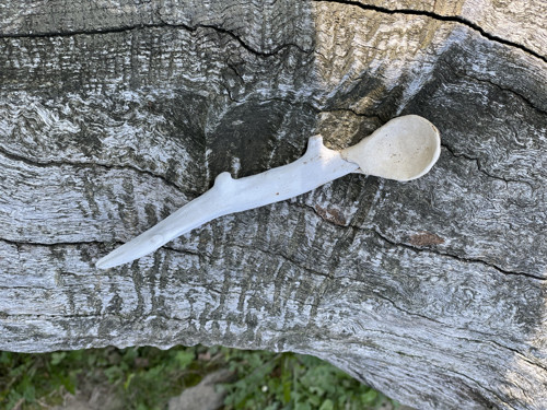 Driftwood A Keramika - Lžíce