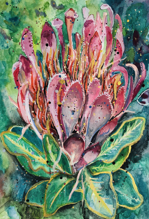 Protea
