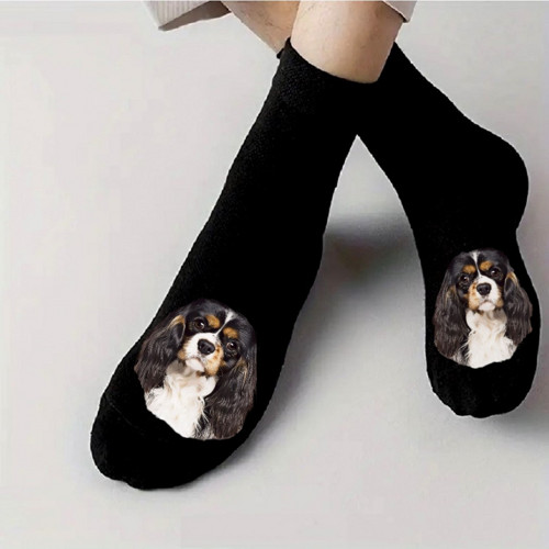 Kavalier King Charles Spaniel Bavlněné Ponožky — foto 1