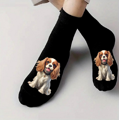 Kavalier King Charles Spaniel Bavlněné Ponožky — foto 1