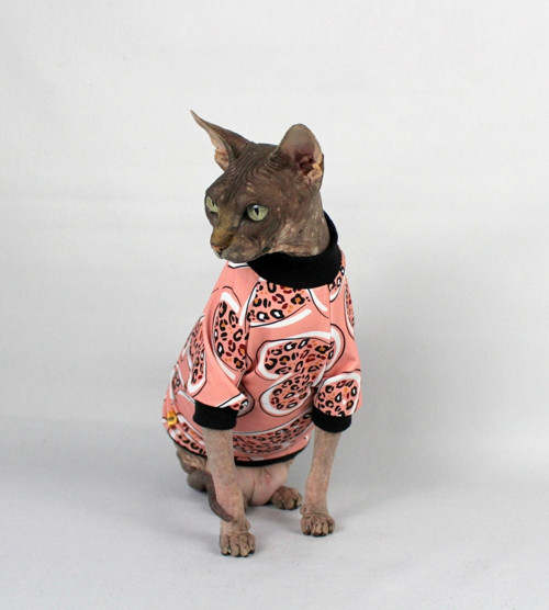 Tričko pro Sphynx - raglan
