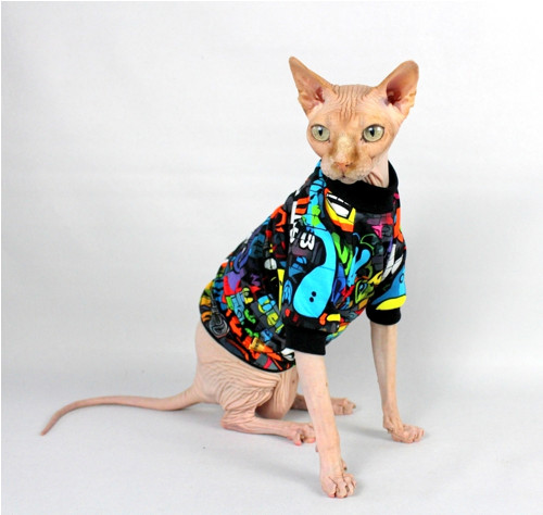 Tričko pro Sphynx - raglan