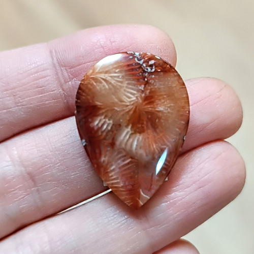 Karneol, ID 4323, 28x20 mm