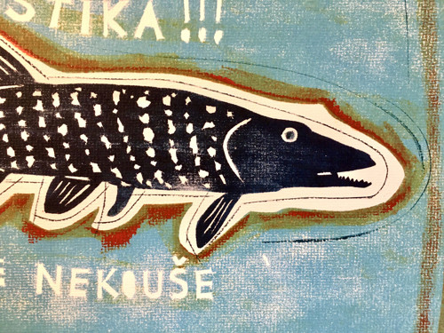 Štika, ale nekouše… — foto 1