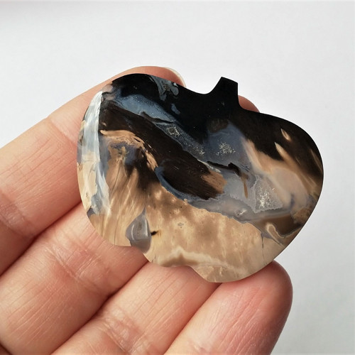 Zkamenělá palma 10 kabošon 45 x 36 x 7 mm
