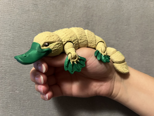 Roztomilý ptakopysk - 21 cm - 3D Tisk — foto 1