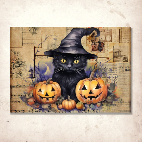 Kočičí halloween 6.