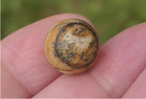 Kulička 12 mm - jaspis obrázkový V509