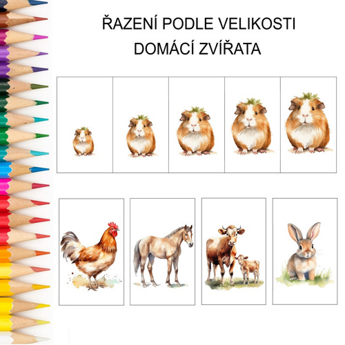 Řazení podle velikosti DOMÁCÍ ZVÍŘATA PDF