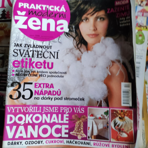 Praktická žena 11/2008