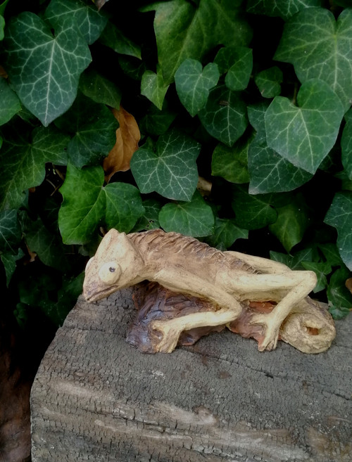 Chameleon