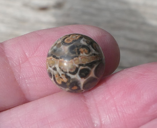 Kulička 12,1 mm - jaspis leopardí V522