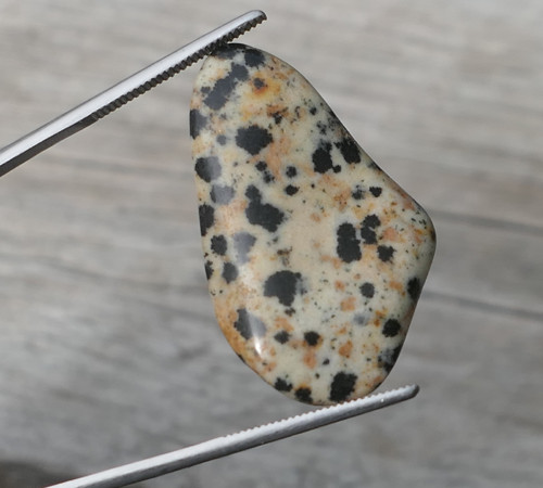 Jaspis dalmatin (29 mm) V528 — foto 1