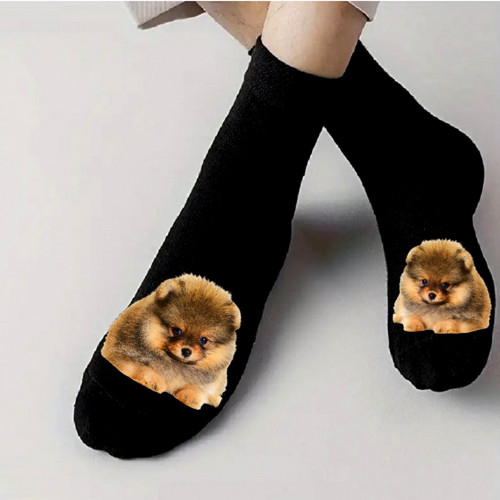 Špic Pomeranian Bavlněné Ponožky