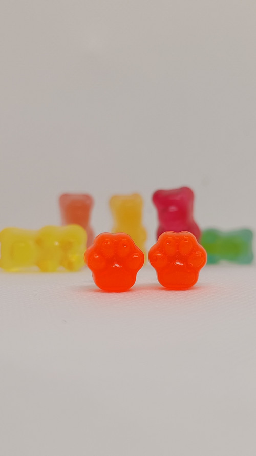 Paw Bonbons salmon
