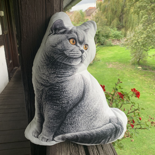 Polštář 3D - Kočka šedá — foto 1