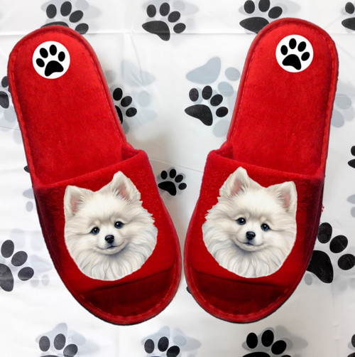 Špic Pomeranian Bačkůrky- Pantofle