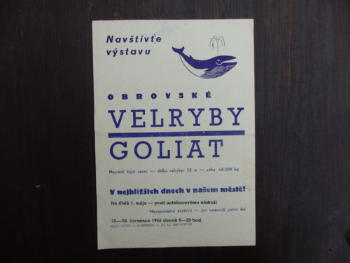 Velryby — foto 1