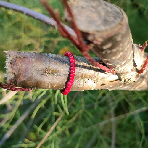 Červený jednoduchý prstýnek — foto 1