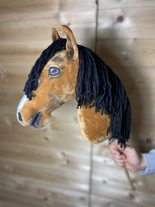 Velšský pony - Hobby horse — foto 1