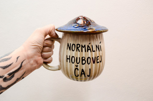 Normální houbovej čaj, modrý klobouk — foto 1