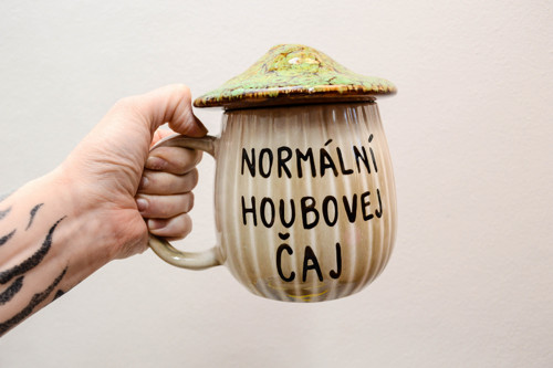 Normální houbovej čaj, zelený klobouk — foto 1