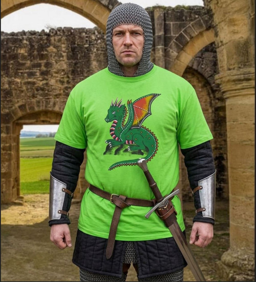 Unisex tričko s drakem, drak