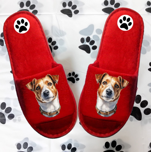 Jack Russell Teriér Bačkůrky- Pantofle