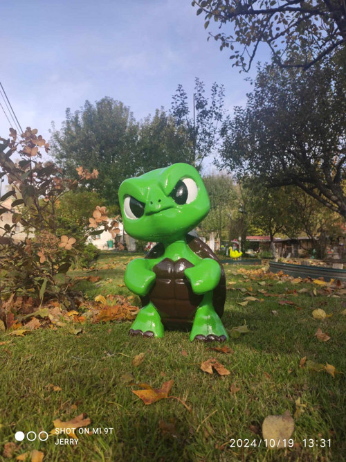 Drsná želva — foto 1