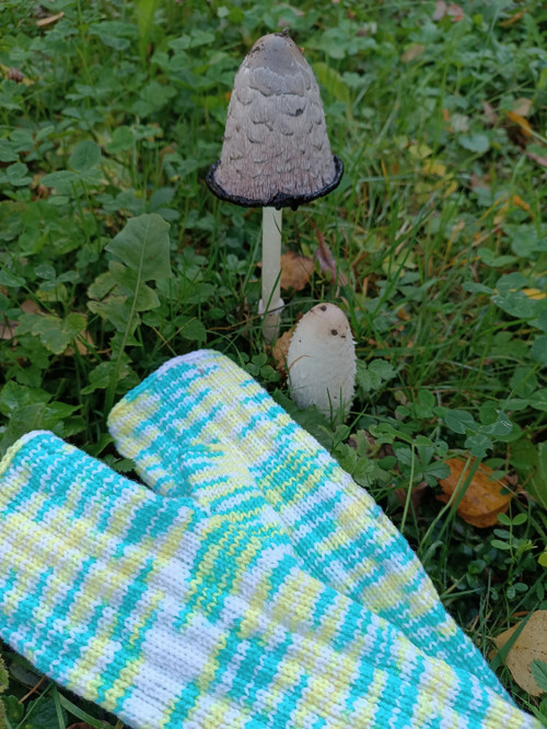 Bezprstacky