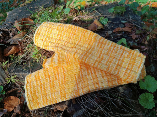 Bezprstacky