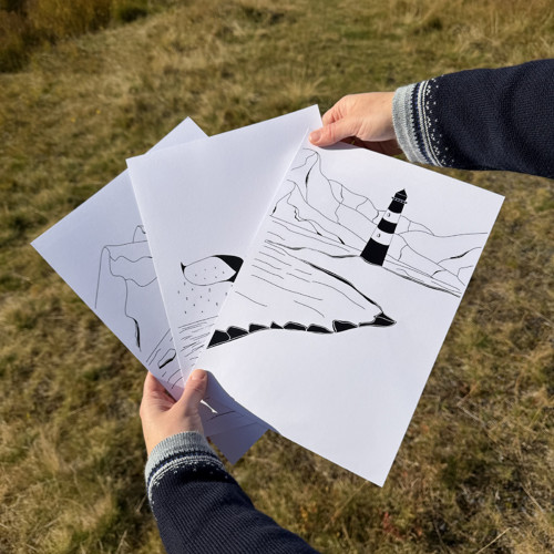 Příroda Severu - Kolekce ilustrací
