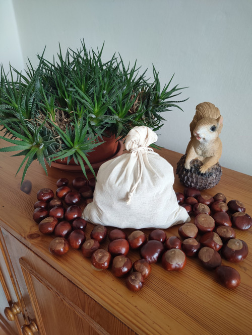 Magické Kaštany