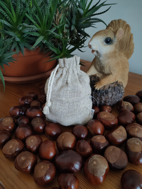 Magické Kaštany Mini