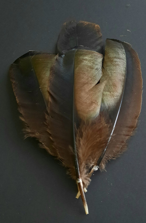 Kovová z krocana — foto 1