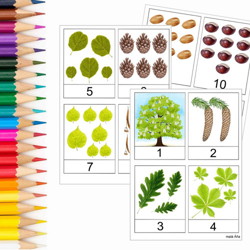 POČÍTÁNÍ 1-10 STROMY TŘÍSLOŽKOVÉ KARTY pdf
