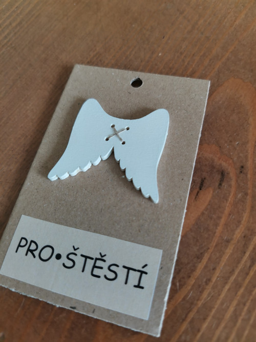 Knoflík pro štěstí - andělská křídla