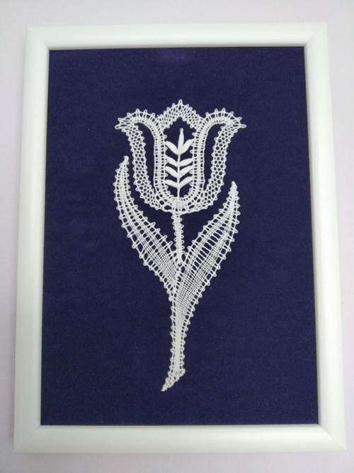 Tulipán