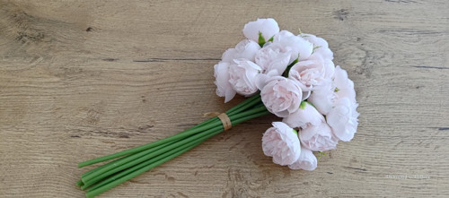 Ozdobný kvietok Pivonka - Rose Pink