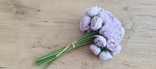Ozdobný kvietok Pivonka - Purple