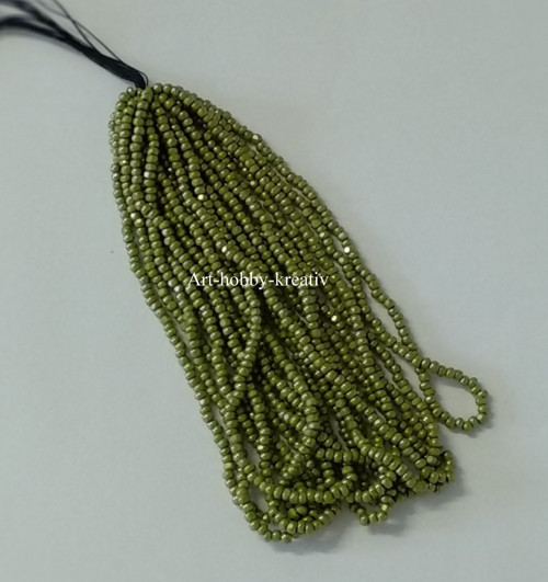Charlotte Beads 8/0 - Zelená s bílým listrem, 5 g