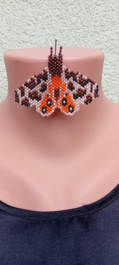 Jeho Výsost Přástevník Medvědí - Night Moth
