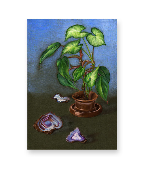Zátiší Acháty - pastel - autorská reprodukce