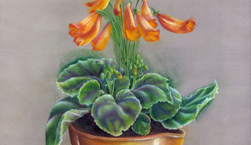 Zátiší s květinou A3 - pastel -autorská reprodukce