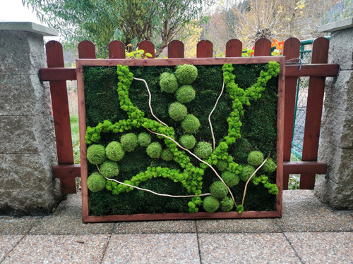 Mechový panel, obraz 80x100 cm