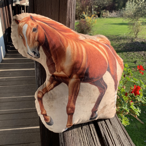 Kůň - 3D polštář